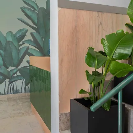 Succeed Campo Pequeno Pensión 3*